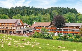 Grüner Wald Hotel